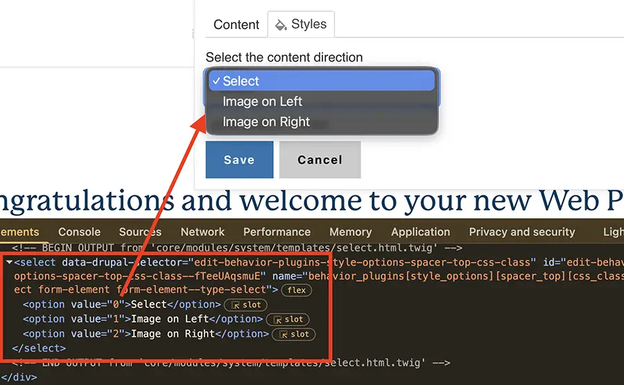 Screenshot of style options select field