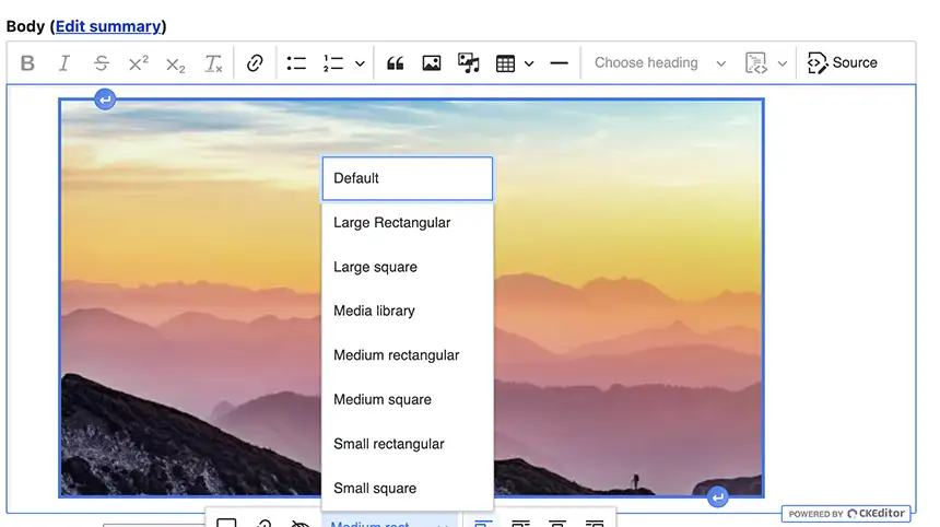 Example of image embed editor options