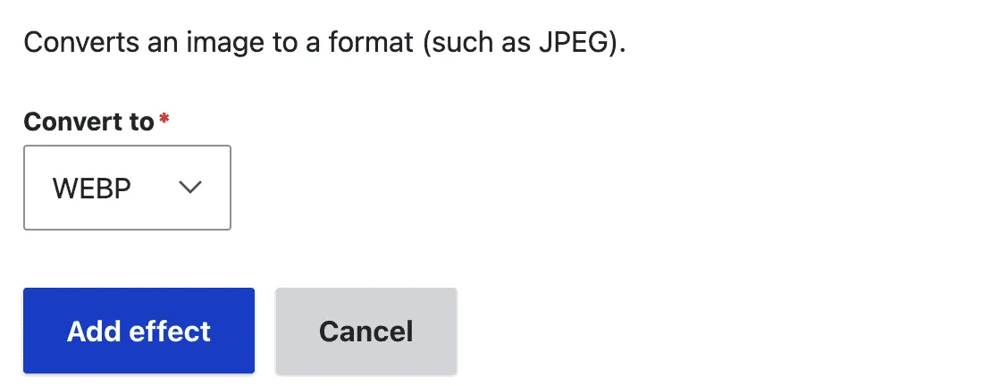 Adding the WebP format to an image style