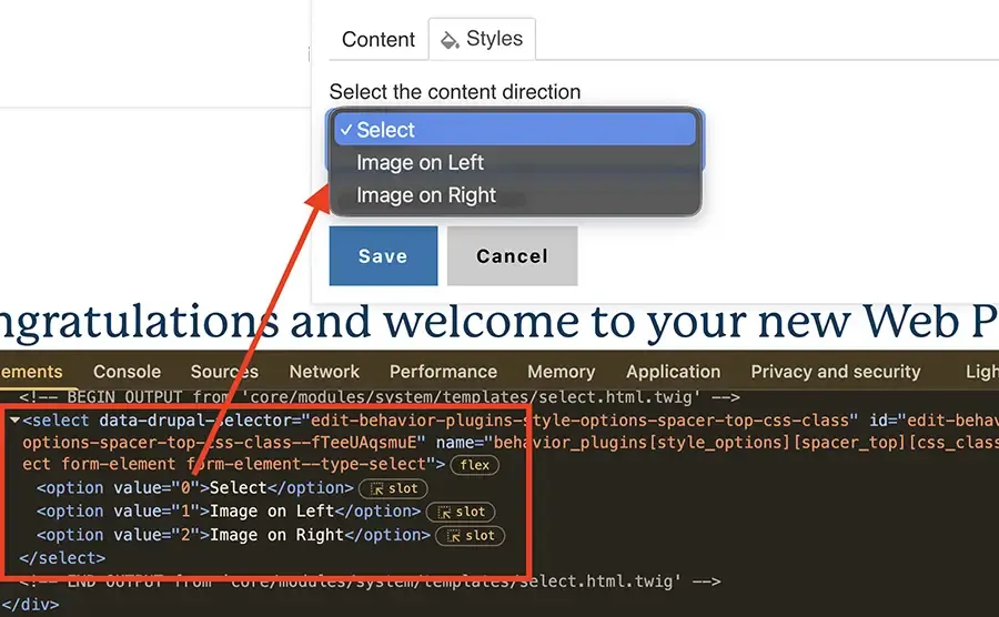 Screenshot of style options select field