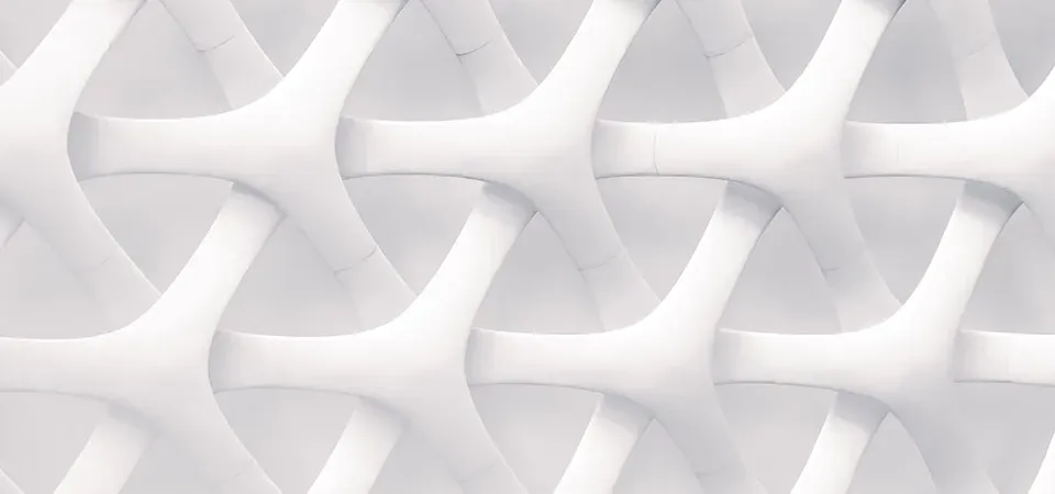 Image of a net showing interlaced mesh